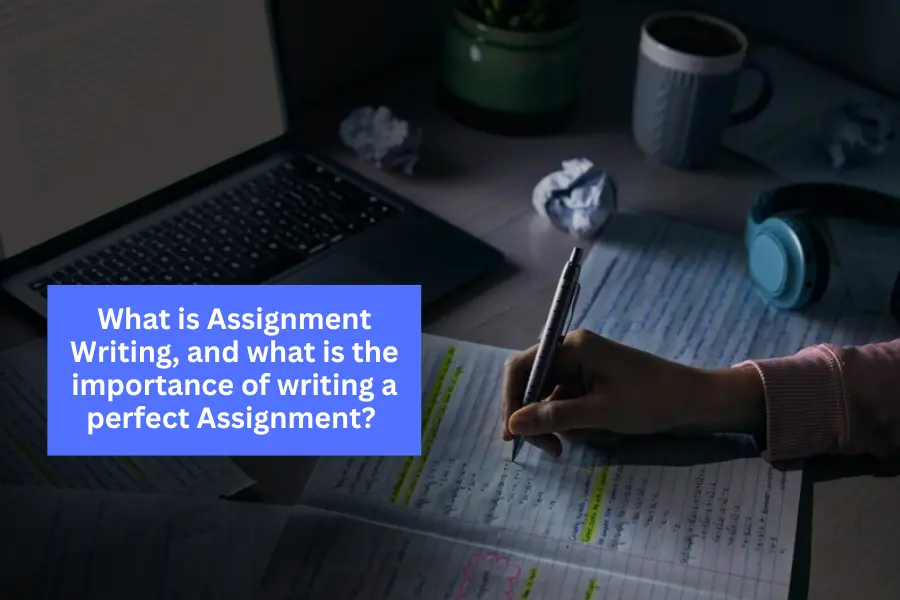 What is Assignment Writing, and what is the importance of writing a perfect Assignment?